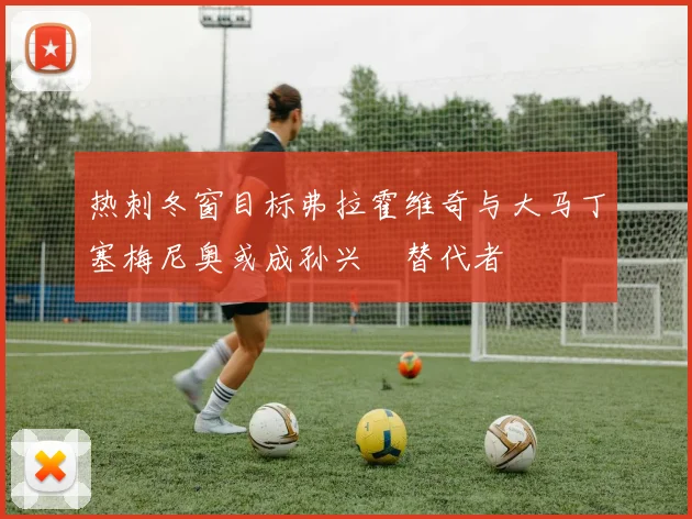 热刺冬窗目标弗拉霍维奇与大马丁塞梅尼奥或成孙兴慜替代者