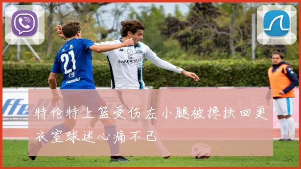 特伦特上篮受伤左小腿被搀扶回更衣室球迷心痛不已