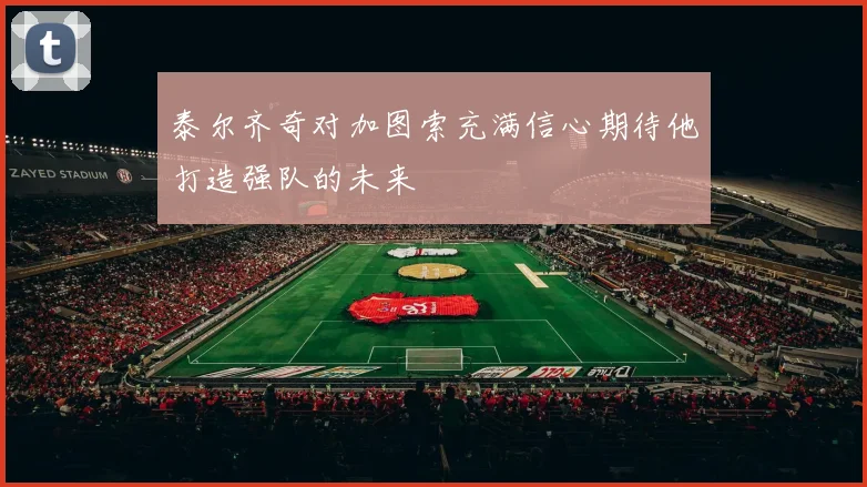 泰尔齐奇对加图索充满信心期待他打造强队的未来