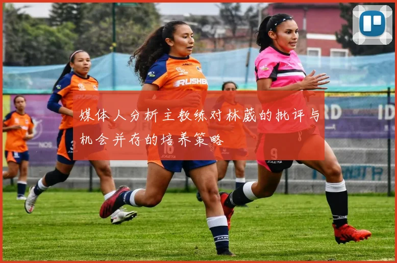 媒体人分析主教练对林葳的批评与机会并存的培养策略