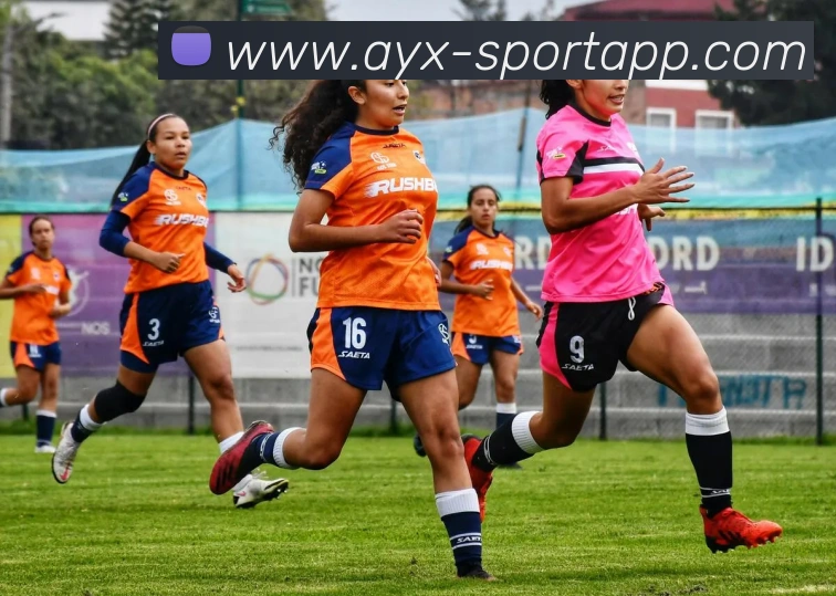 爱游戏体育品牌故事