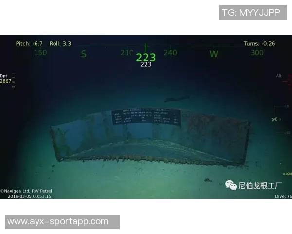 保罗的故事：从个人视角出发的独特叙述与其他视角的稀缺探索